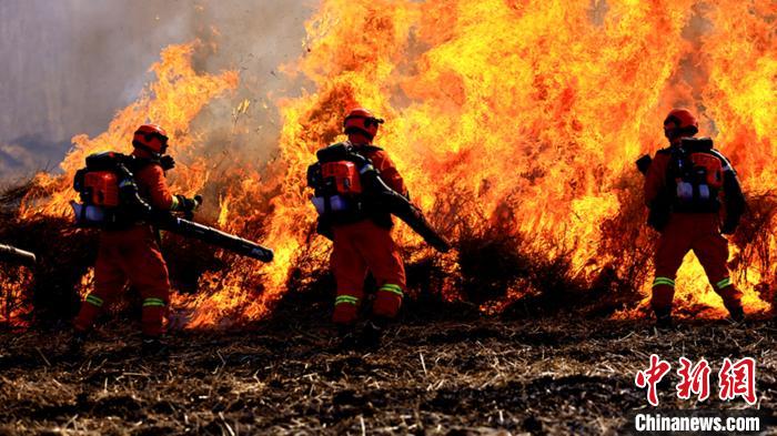 ͼΪ��֯�����Ի𹥻𡣡��߷��� ��