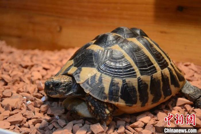 �永���� ���빫����ͼ