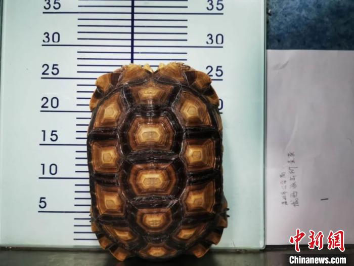 �永���� ���빫����ͼ