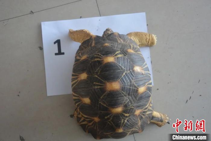 �㽭��������&ldquo;����&rdquo;�����ΣҰ����������