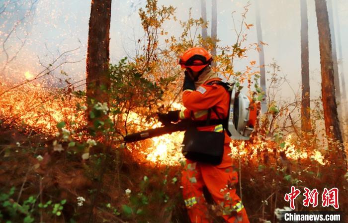 �Ĵ���ɽϲ�����������ؽ��紦ɭ�ֻ����˾����ڽ���