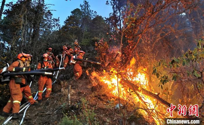 ɭ������Ա�ִ������ȫ���˴�¬ҫǿ��