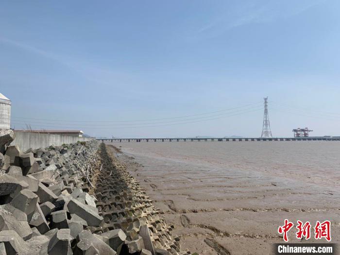 ����5��8�������8�ֺ���������Ӧ�������漾