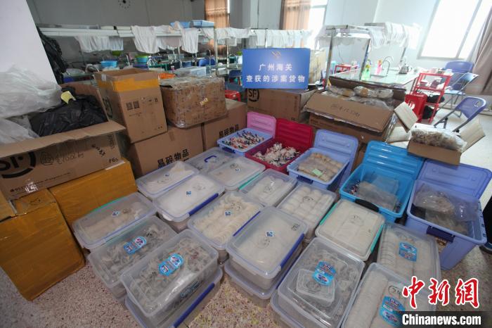 ���ݺ��ؼ�˽���������˽���� ������