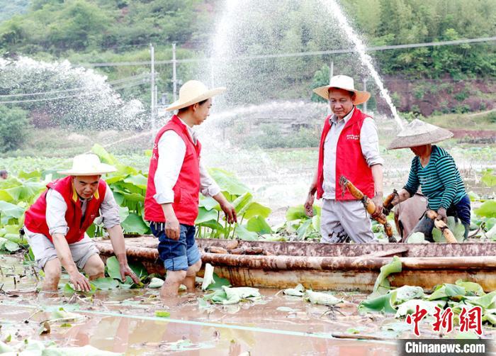 ��ɽȡ���Ͳ����·ɼ��ַ�ƶ���Ϊ��ɽ��ֲϣ��