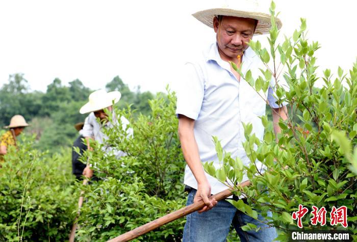 ������μ��Ͳ�����Ͷ����������� ��