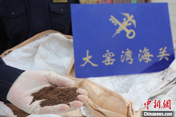 ��Ҥ�庣�ز���&rdquo;������&ldquo; ������� ��