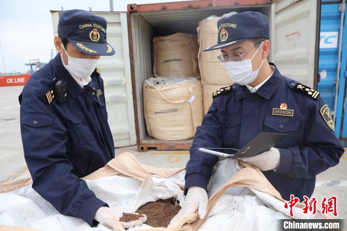 ��Ҥ�庣�ز���&rdquo;������&ldquo; ������� ��