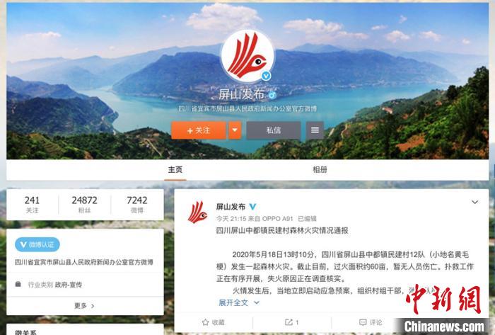 �Ĵ���ɽ�ط���ɭ�ֻ��ֹ������Լ60Ķ