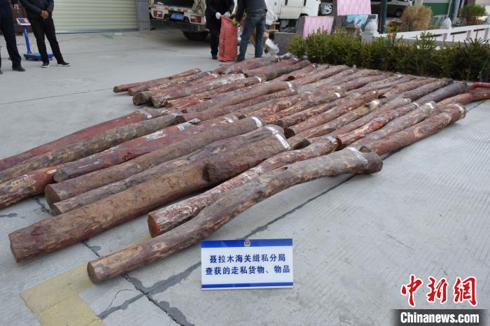 �������ز������̴����̴52��ץ��2������������