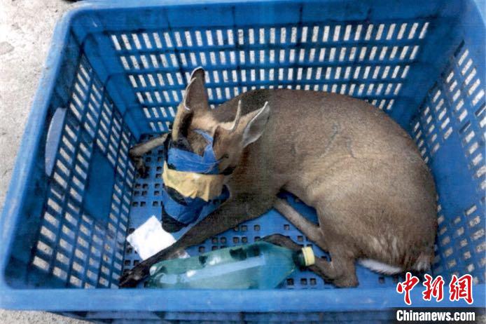 Ұ������ ������ ��