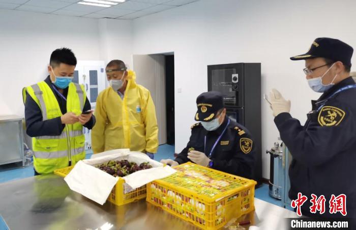 ̩��15��ɽ�񡰰������˵����ݺ����ʹ����߱���ⰲȫ