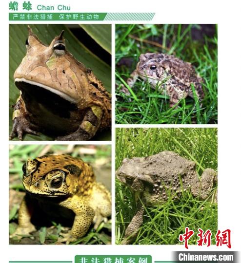 ׽�򴱦���������������̡�ƽƽ���桱��ֲ��˲���