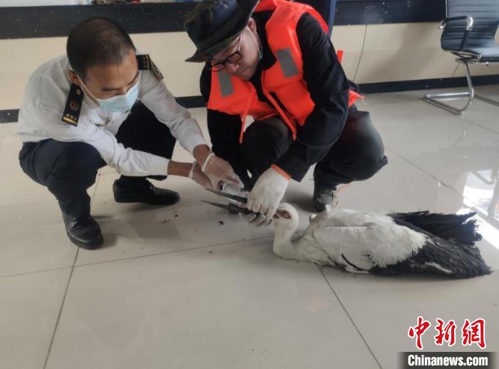 �������Ķ������١������� ��