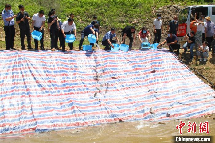 ��Ժ������Ա���й������ ���� ��