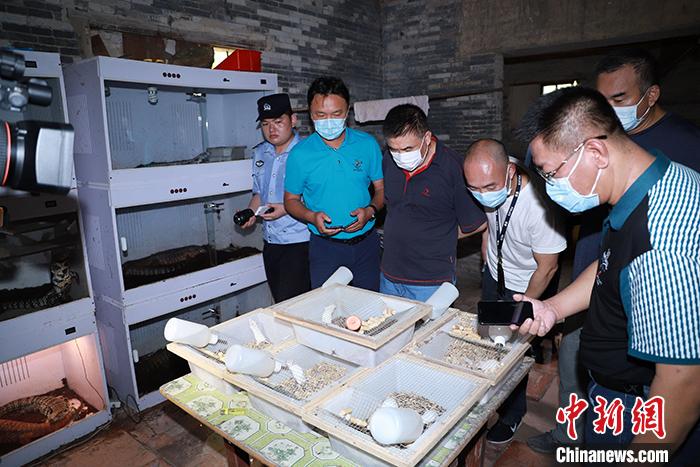 ����ͼΪ�����й�������������ĳǿ�����ӷǷ��չ������ۡ�������󡢱�ΣҰ�����Ｐ����Ʒ������ <a target='_blank' href='http://www.chinanews.com/'>������</a>�� �㶫���� ��ͼ