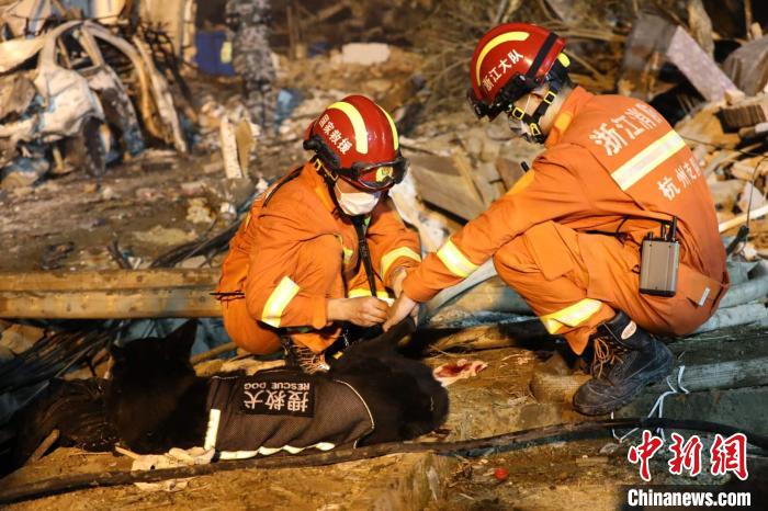 ������Ԯ�ֳ�����̨�������ṩ ��