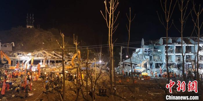 �¹��ֳ���ľ֦Ҷȫ�� ����� ��