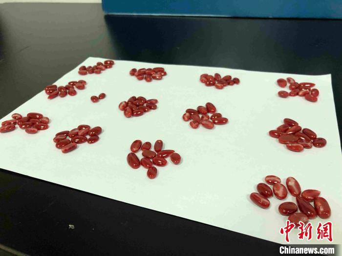 ���ݺ������ʵ���������Σ���ֺ�ɺ����Ʒ ������ ��