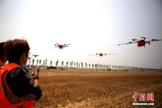 ���������һҳ