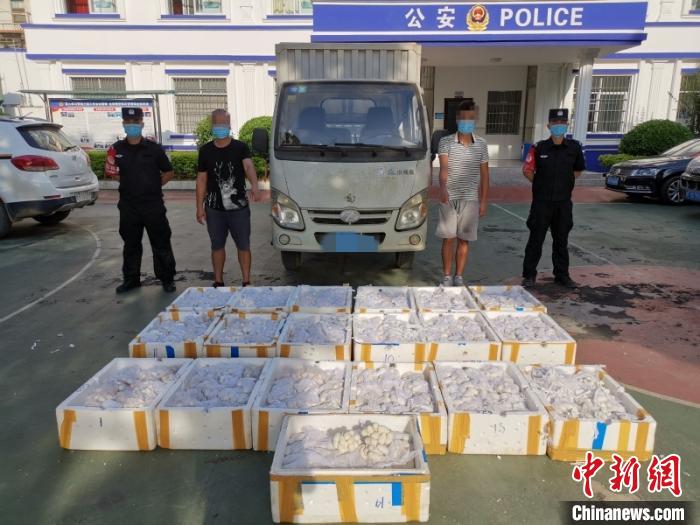 ������������ߵ�11595ö�������ӷǷ����˱�ץ