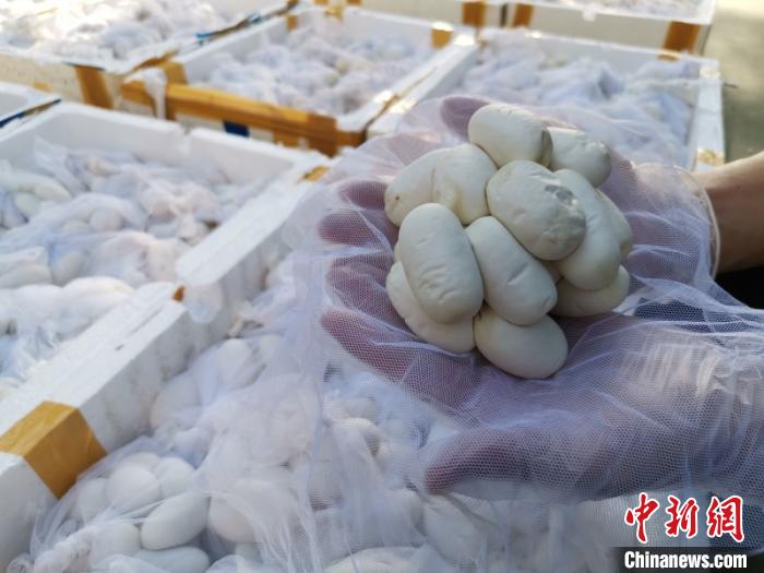 ͼΪ�����ߵ���������ͼ