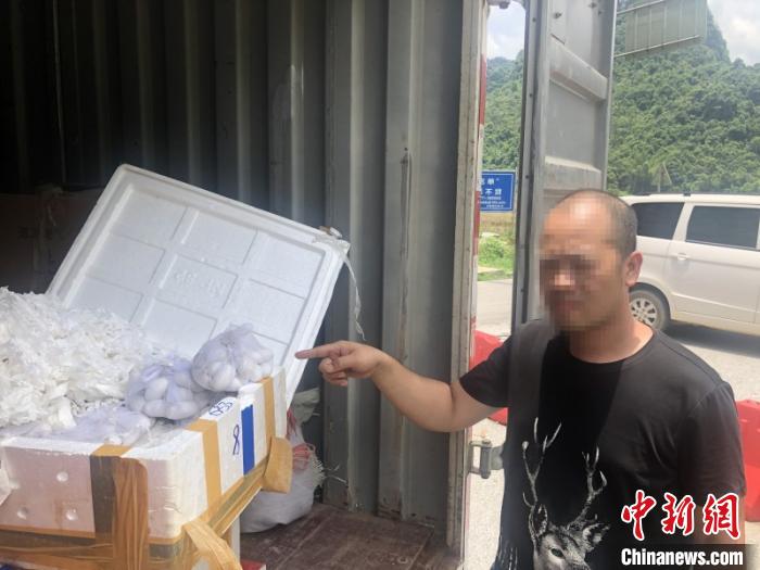 ͼΪ����ֳ���������ͼ