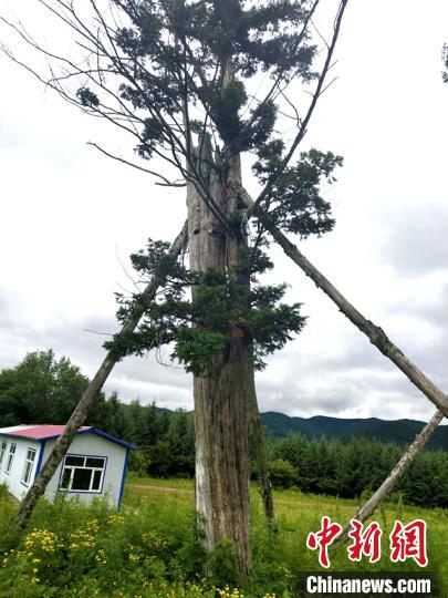 �춹ɼ�������� �ӳ��� ��