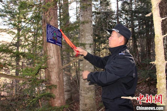 ������ԱΪ�춹ɼ���ñ��� �ӳ��� ��