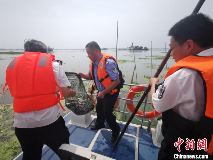 ͼΪ�Ƹ��й�����ʳƷҩƷ�������֧�������г���ܵȲ��ŷ����Ƿ����̵�Ұ����Ⱥ ���� ��