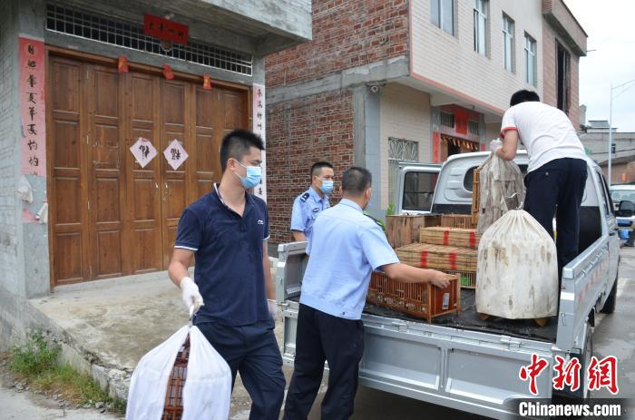 �񾯲��Ұ�������ֳ�������ɭ�ֹ�����ͼ