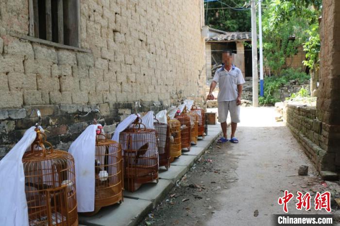 �����ƻ�һ����Ұ�����ﰸ���ü������300��ֻ