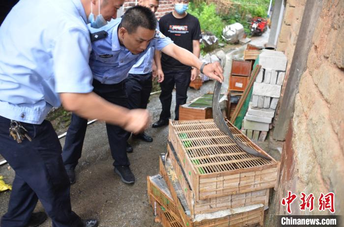 �񾯲��Ұ�������ֳ�������ɭ�ֹ�����ͼ