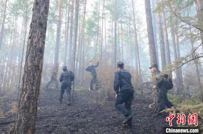 ���ɹŴ��˰���ɭ�ֹ����������ֳ���̧ͷ��·��������