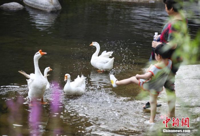 ���������һҳ