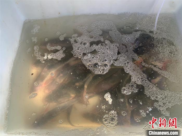 ������ʮ����桱�Ϻ���������������36��Ƿ����̰���