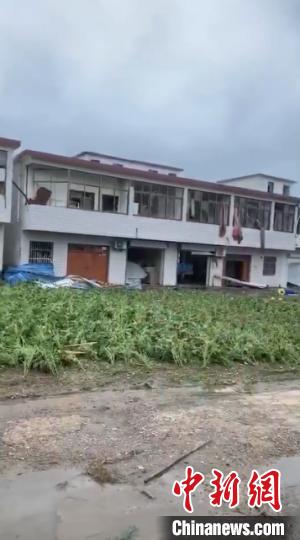 ���ֻ��档��Ƶ��ͼ