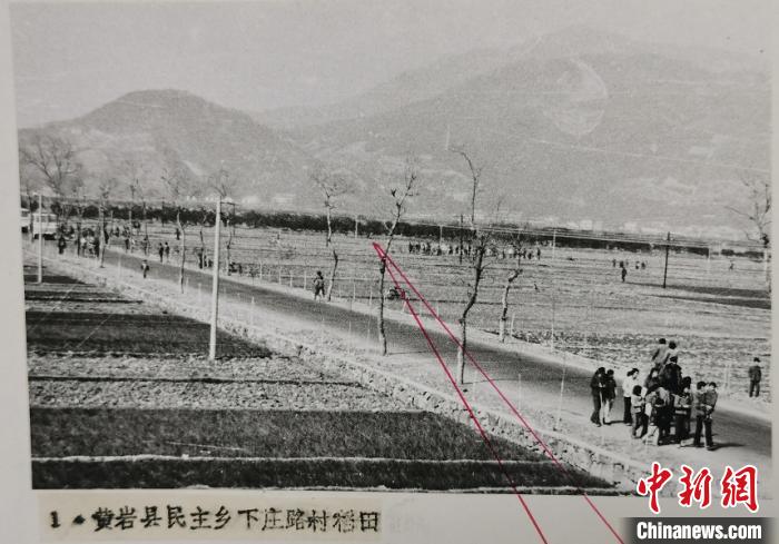 ���������ֳ� ̨�ݹ�����ͼ