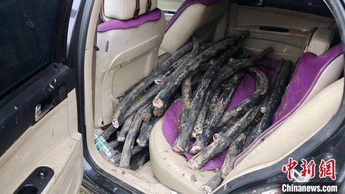 �����������ӷ�����ɻ񱻵����¡�����������ͼ