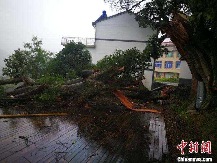 ��������������� �뿡�� ��