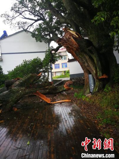 ��������������� �뿡�� ��