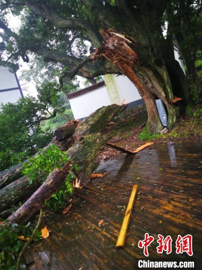 ��������������� �뿡�� ��