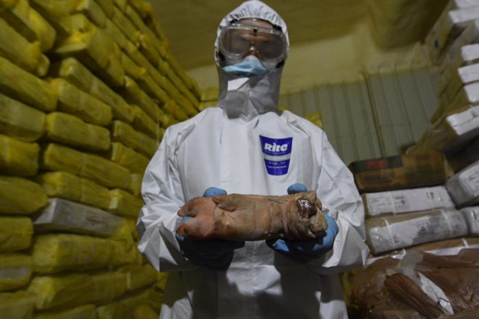 ��˽��Ʒ�������ǡ� �¼ѳ� ��