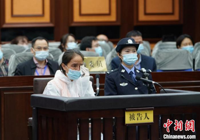 ͼΪ����������������� ��