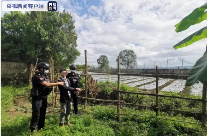 ���������һҳ