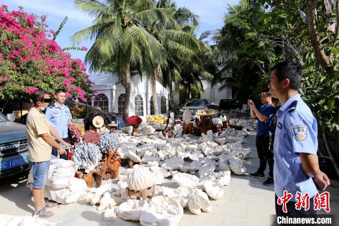 �����ƻ��ش󰸼������һ���������Ｐ��Ʒ981��