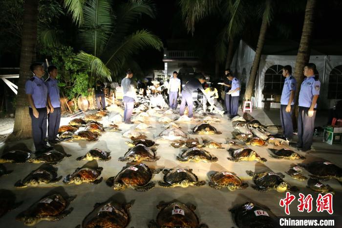 ͼΪ����ҹ�Բ�۵��永��Ʒ��������Ѻ���������� ��