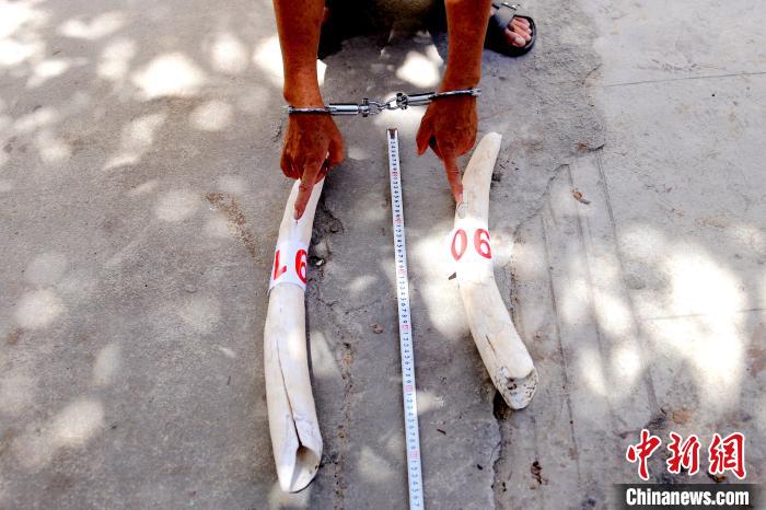 ͼΪ������ָ�������������������� ��