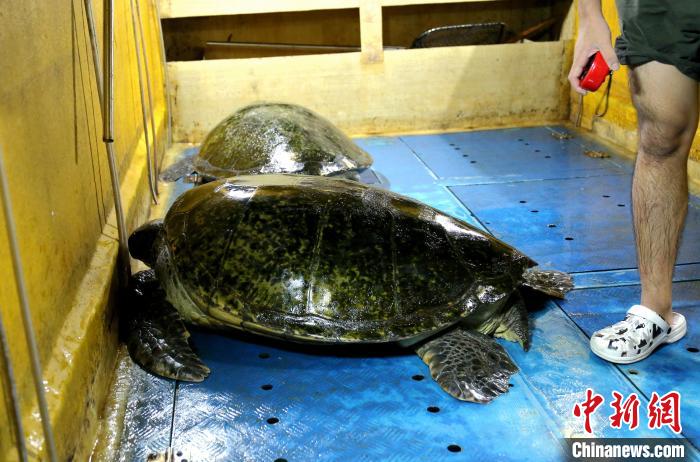 ͼΪ����ȵĺ��ꡣ�������� ��