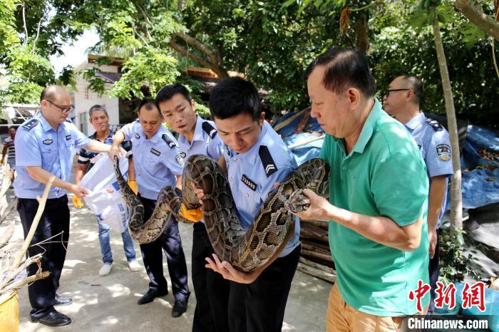 ͼΪ�񾯽����Ļ������ƽ�ɭ�ֹ������������� ��